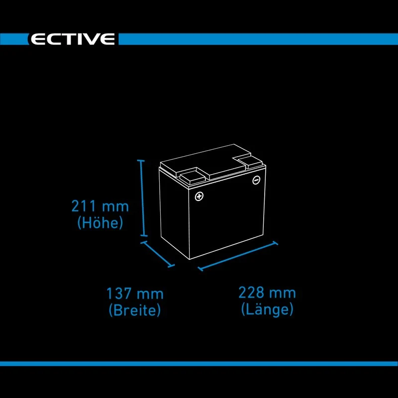 DC 65S AGM Deep Cycle mit LCD-Anzeige 65Ah