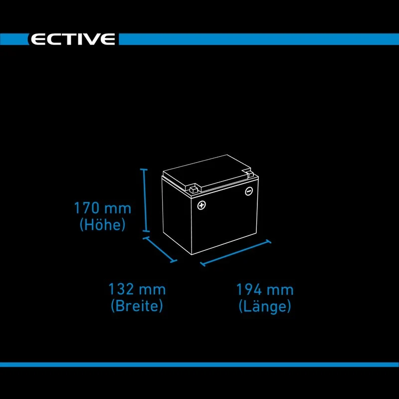 DC 38S AGM Deep Cycle mit LCD-Anzeige 38Ah
