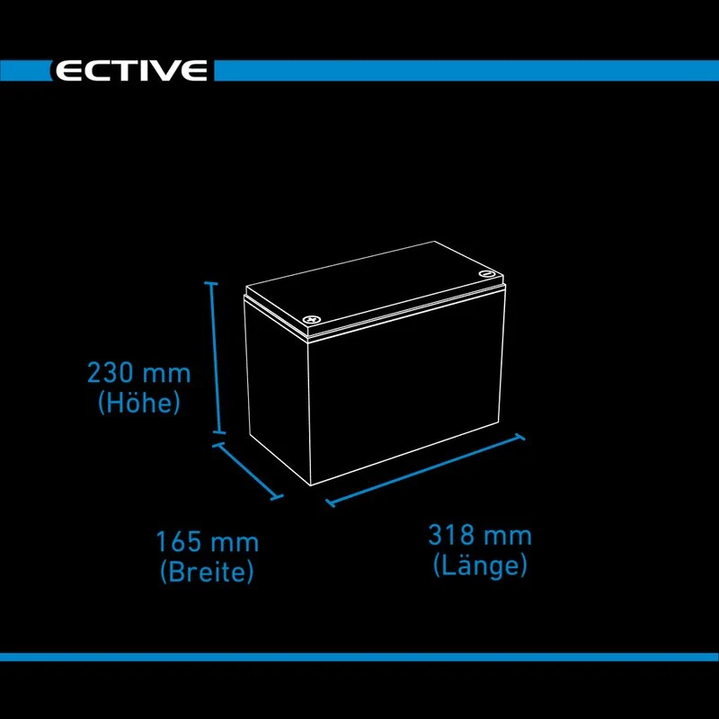 LC 100L LT 12V LiFePO4 Versorgungsbatterie 100Ah
