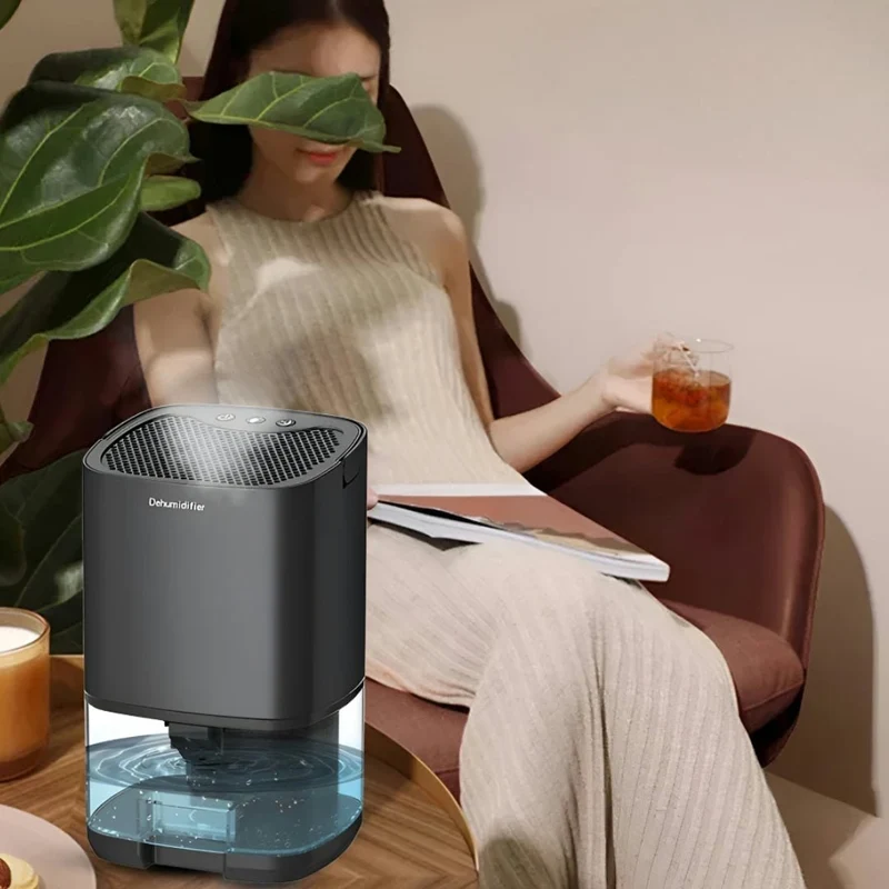 Portable Air Dehumidifier with a Water Tank for Removing Moisture from Walls at Home