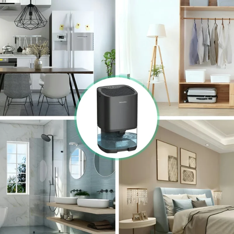 Portable Air Dehumidifier with a Water Tank for Removing Moisture from Walls at Home