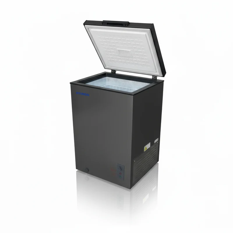 Hyundai Freezer / HY-DF110