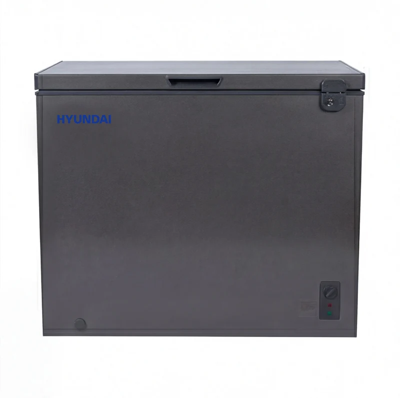 Hyundai Freezer / HY-HY-DF310