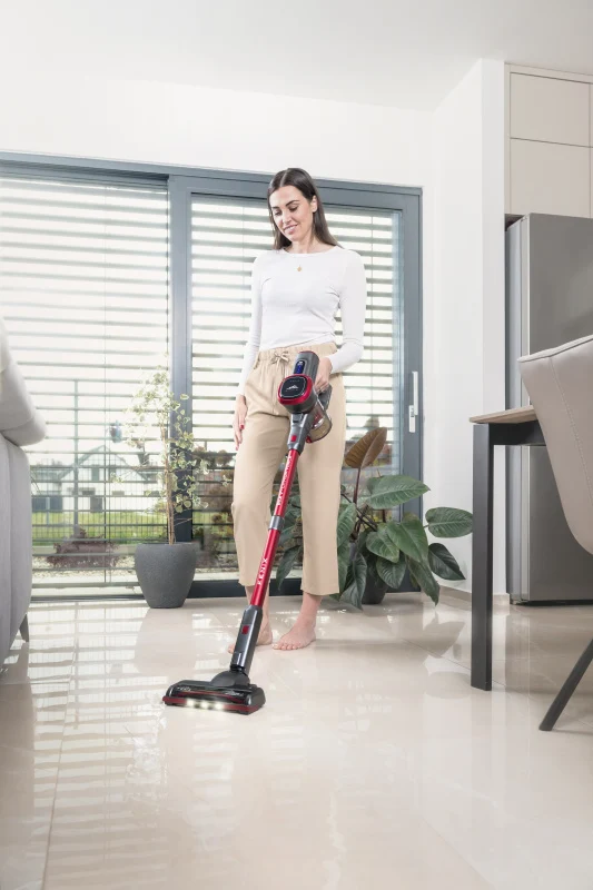 Stabstaubsauger ETA Fenix 2232 90000 grau/rot