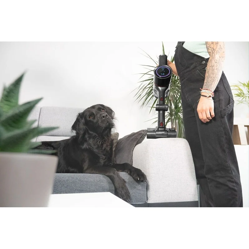 Stick Vacuum Cleaner Concept VP6250 500 W
