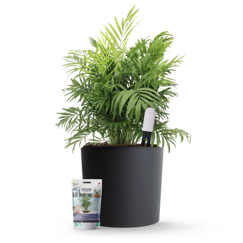 Xiaomi Plant Sensor Starterspakket