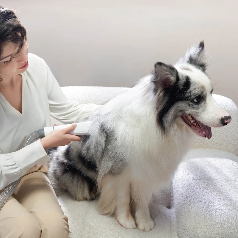 INSE P20 Pro Hund Grooming Kit Haustier Haarschneider Vakuum