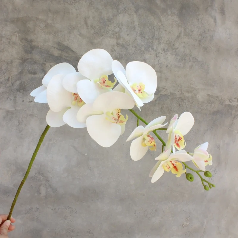 Dekorativer blühender Orchideenstiel