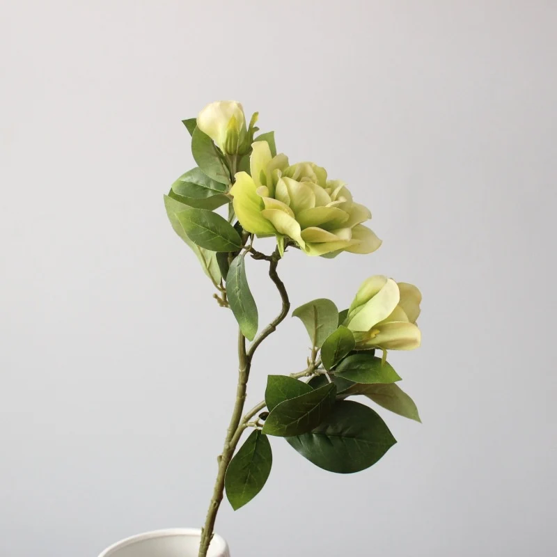 Elegante dekorative Magnolienstängel
