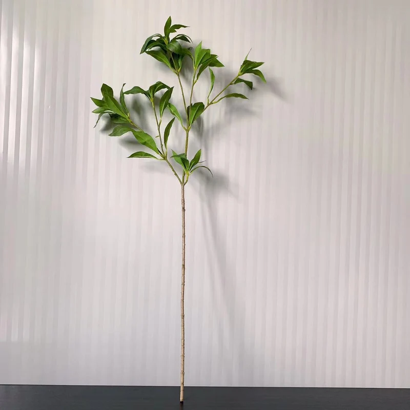 Elegante dekorative Blatta stem