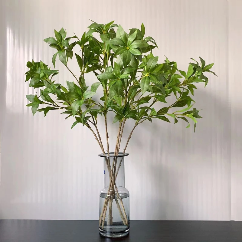 Elegante dekorative Blatta stem