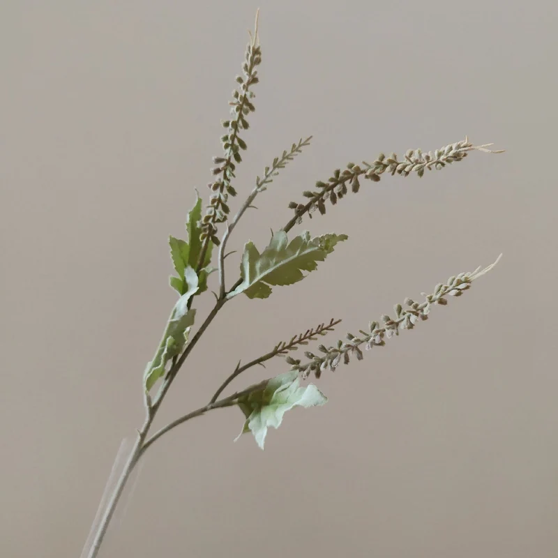 Dekorative Grünpflanze Floralstamm