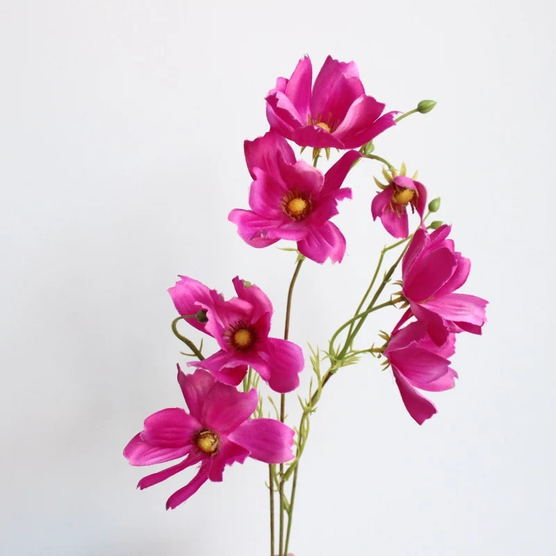 Dekorative Blumenarrangement