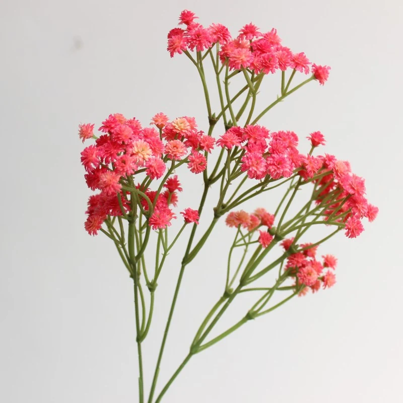 Dekorative Blumenarrangement