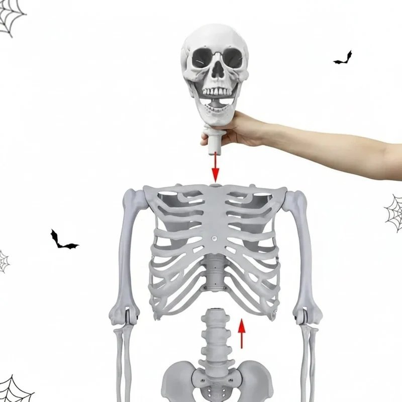 Life-Size Halloween Decorative Skeleton with Movable Joints for Home