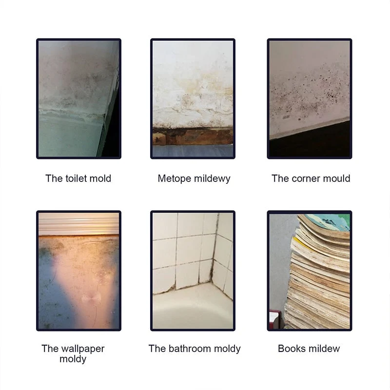 Mold and Mildew Remover for Walls, Home Cleaning Spray, 60 ml Treatment