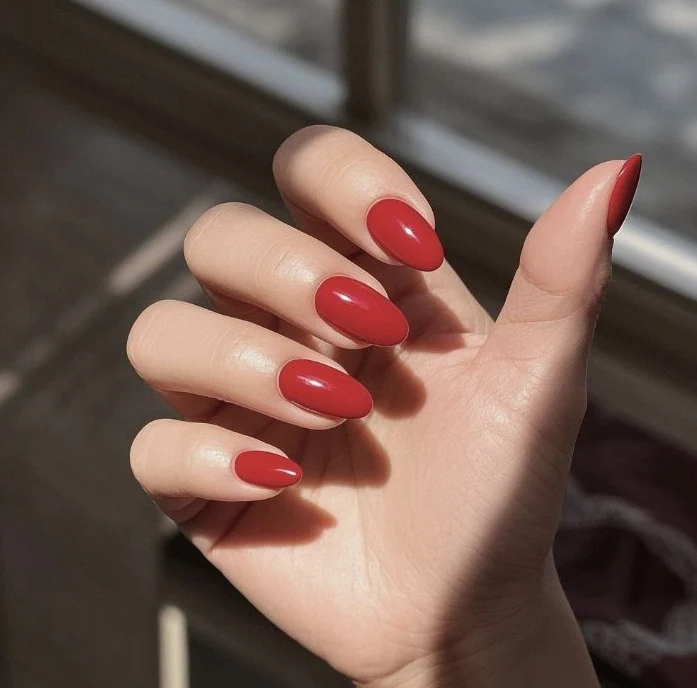 Glänzende mandelförmige Nagelverlängerungen Karnz