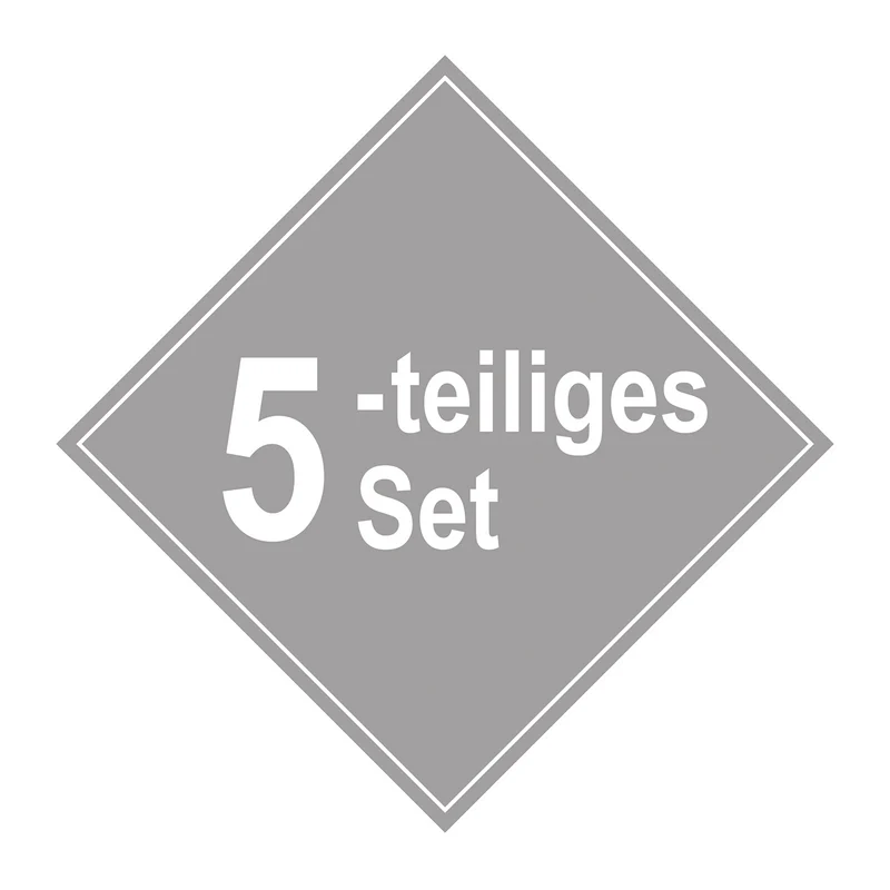 Streichset Paint Maxx Pro 5-tlg.