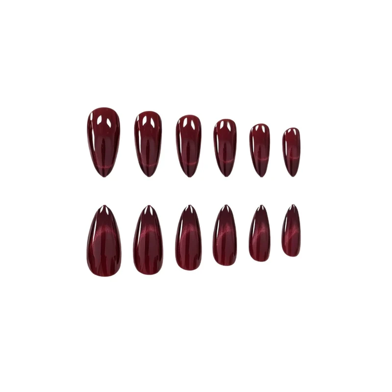 Premium Glänzende Stiletto-Nagelverzierungen Karnz
