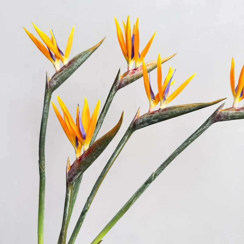 Dekorative Blumenanzeige