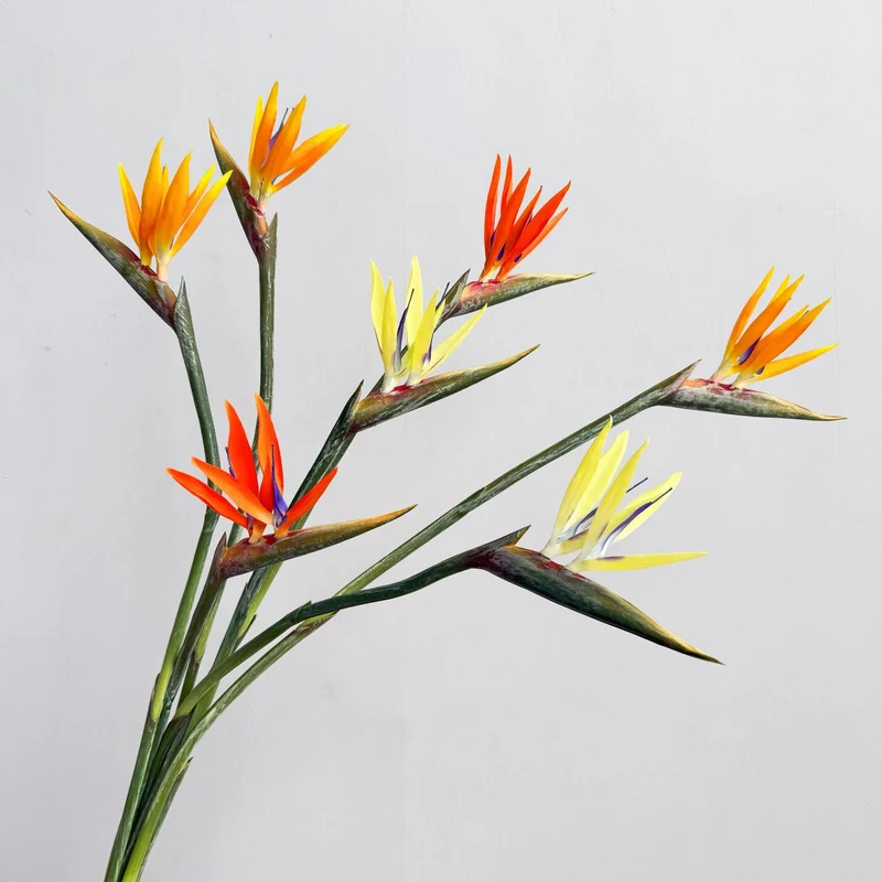 Dekorative Blumenanzeige