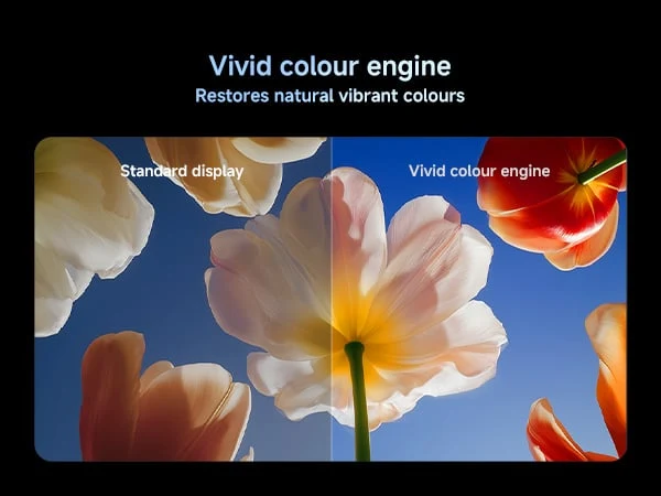 Xiaomi TV S Mini LED 85 Inch 2026