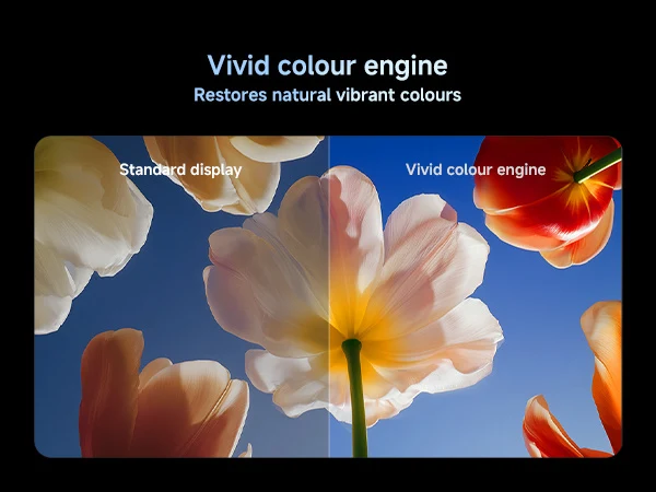 Xiaomi TV S Mini LED 75 Inch 2026