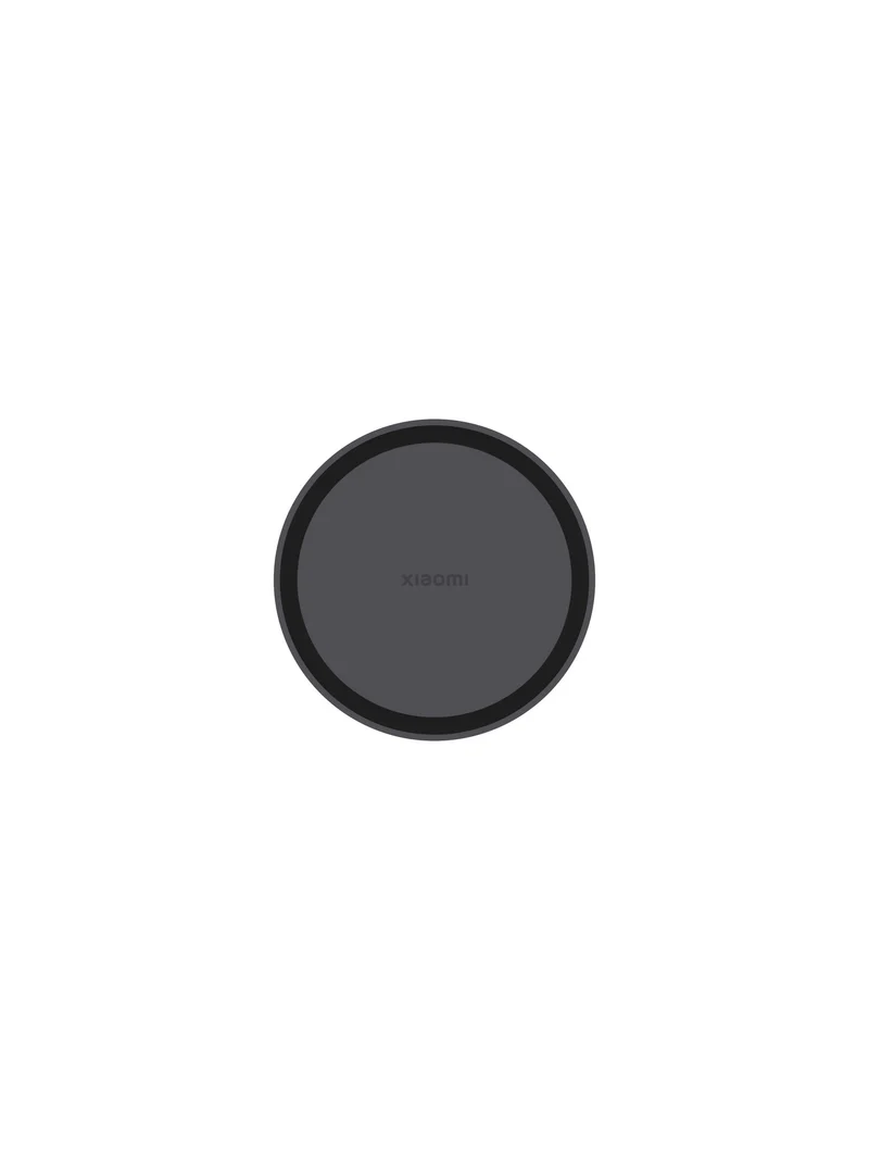 Xiaomi Karaoke Microphone