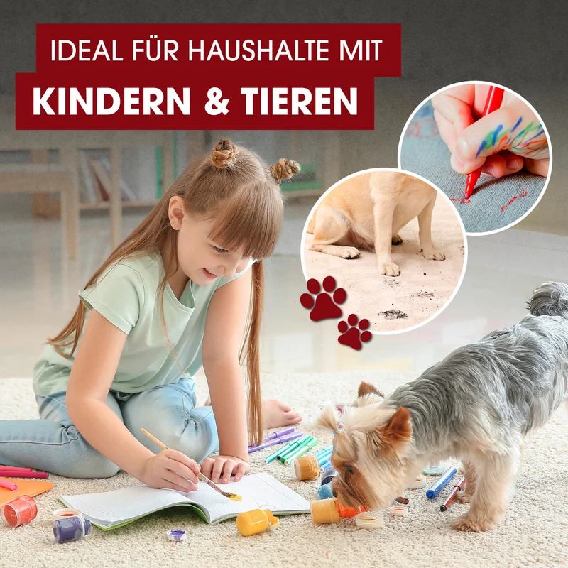 Polster- & Teppichreiniger Kompakt Plus - inkl. 1 l Teppich- & Polsterreiniger-Konzentrat