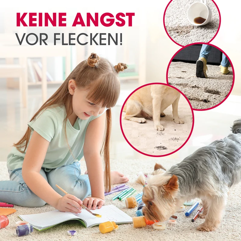 Teppichreiniger AquaStream Plus