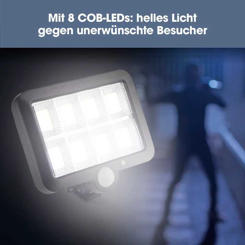 Solar-Strahler mit Bewegungsmelder