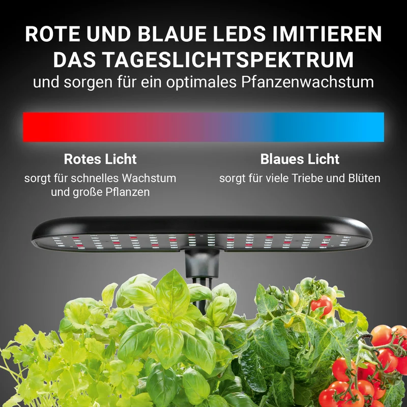 Hydroponische Pflanzenanzuchtstation mit Display
