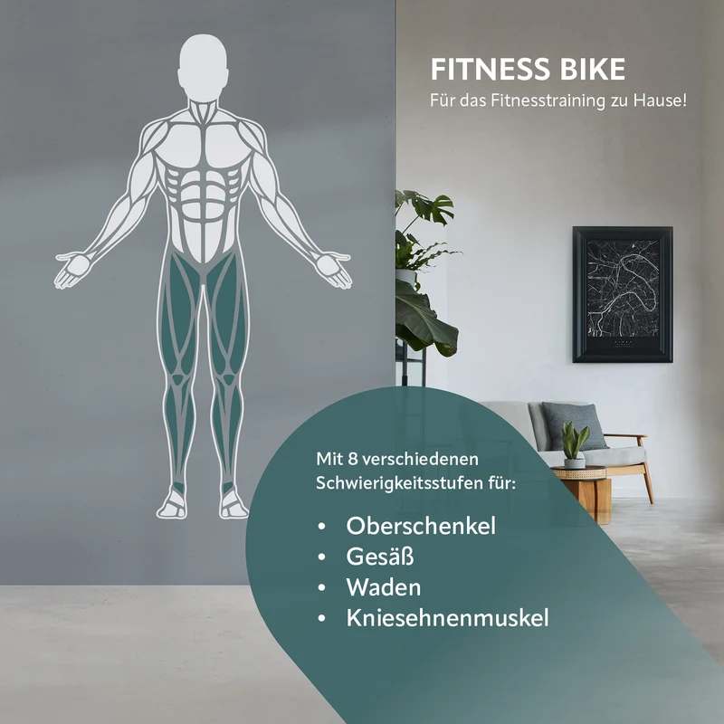 Heimtrainer mit magnetischer Bremse