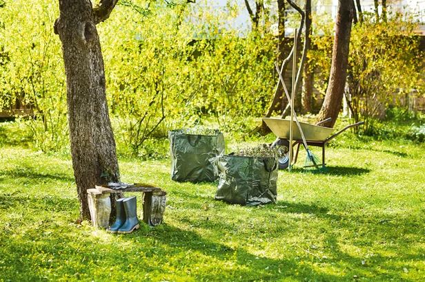 Gras-& Laubsammler (Set Sack & Schaufel)