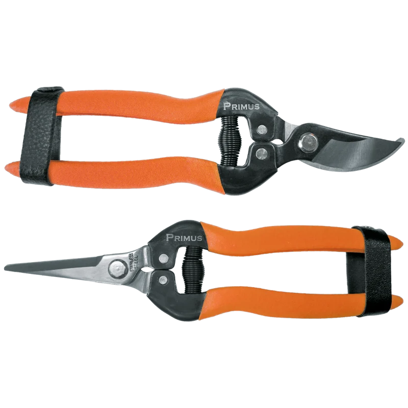 Scheren-Set (2-teilig)