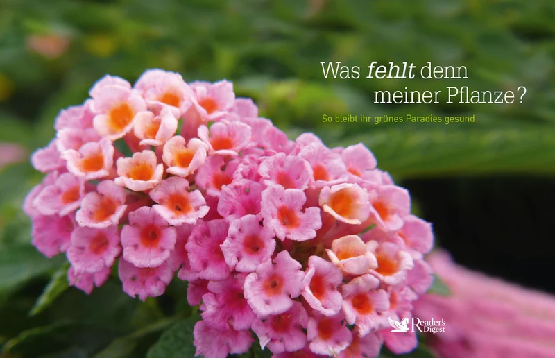 Pflanzen-Pflege 2er-Set