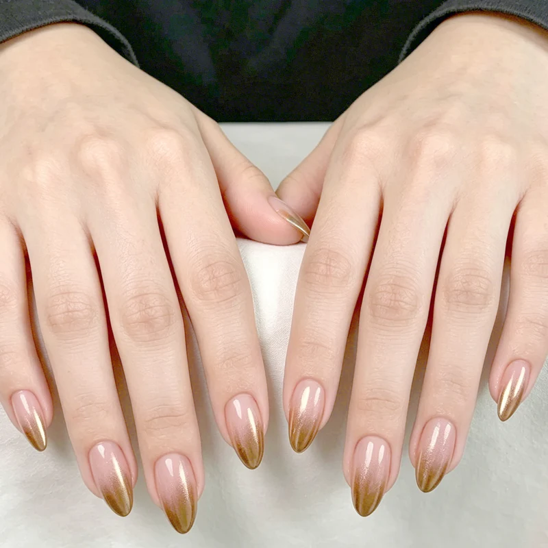 Ombre Stiletto Nagelverlängerungen Karnz