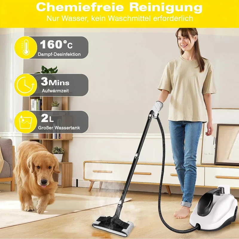Dampfreiniger 2000W, 5 bar Dampfdruck, 2L Tank, 3 Min. Aufheizzeit, bis 160℃, mit 19 Zubehör, mobile Reinigungsmaschine für Teppiche, Fenster,Vorhänge
