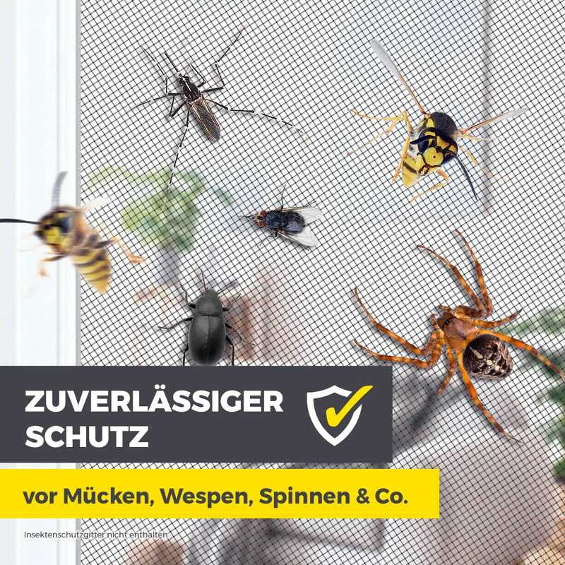 EASYmaxx Insect Protect Magnete für Insektenschutzgitter - 12 Stk. - kein Bohren