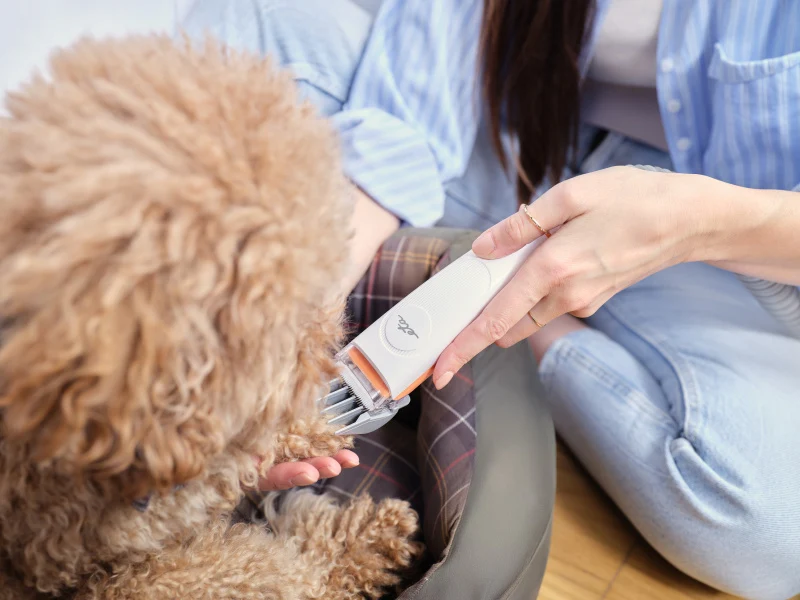 Sada pro péči o srst ETA PetMaster 4216 90000 weiß/orange