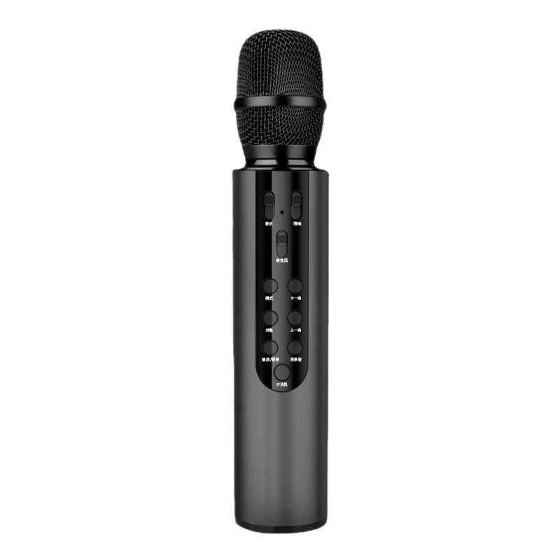 Kabelloses Karaoke-Mikrofon mit Echo-Steuerung Karnz