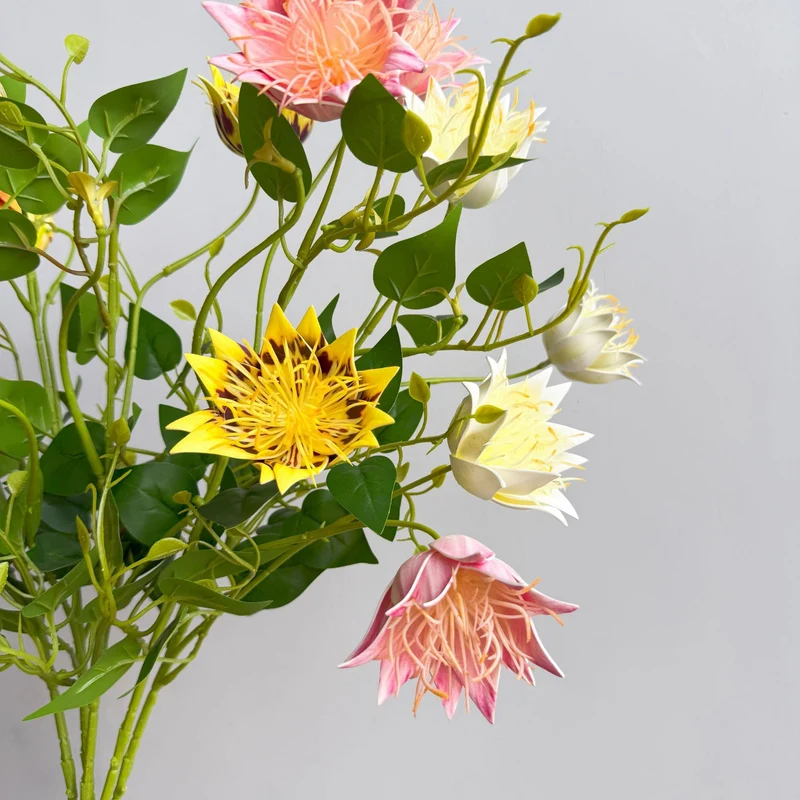 Exotische Flora Anordnung