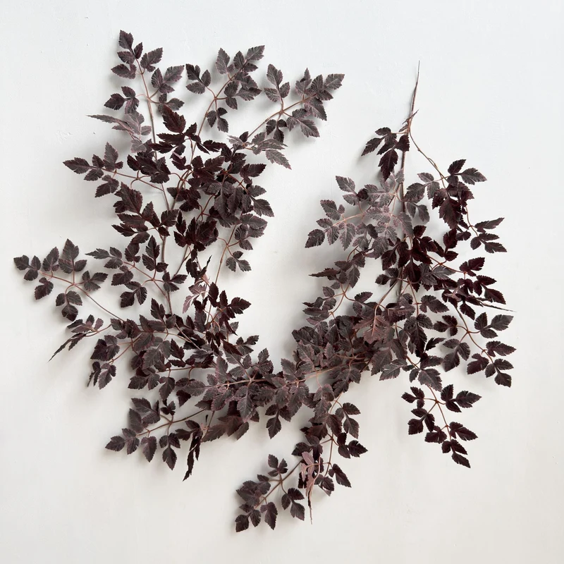 Elegante Kunstweinfleideranordnung