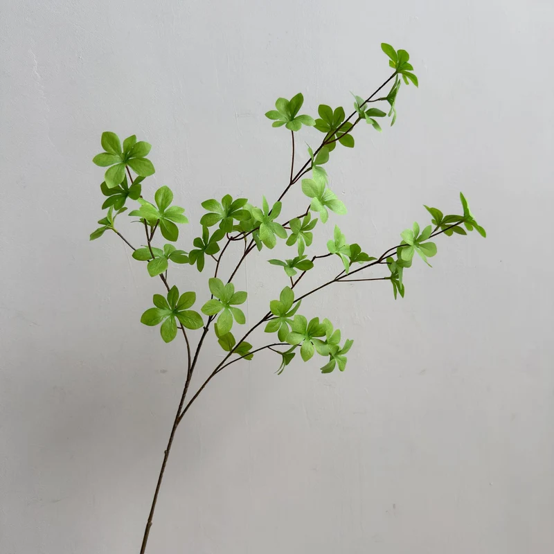 Elegante Dekorative Pflanze