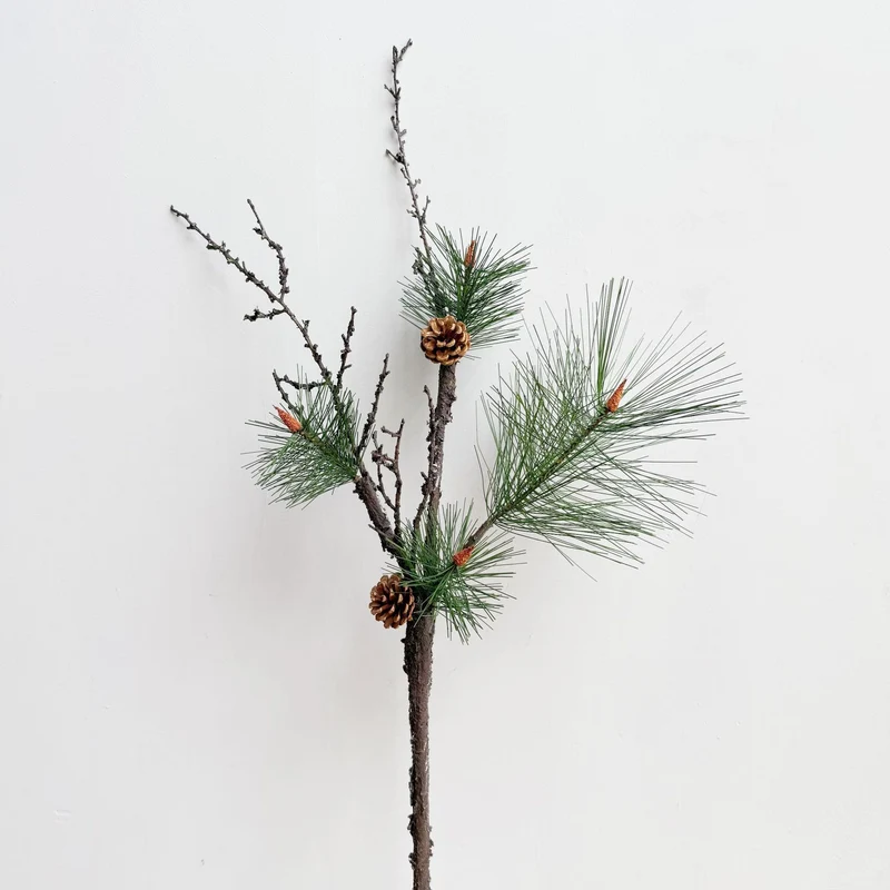 Dekorative Zapfenarrangement