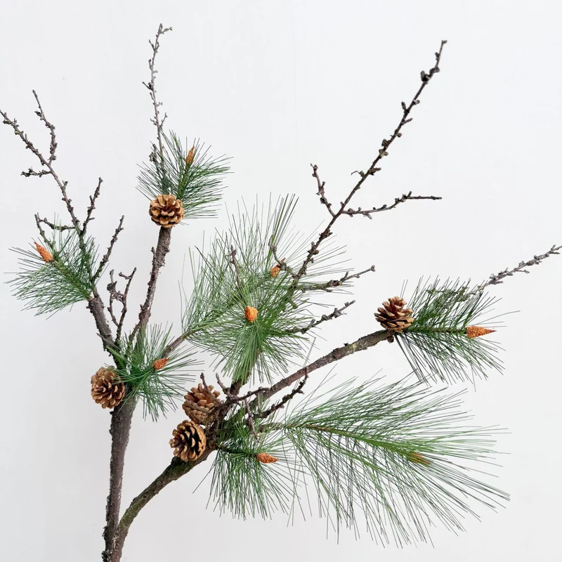 Dekorative Zapfenarrangement