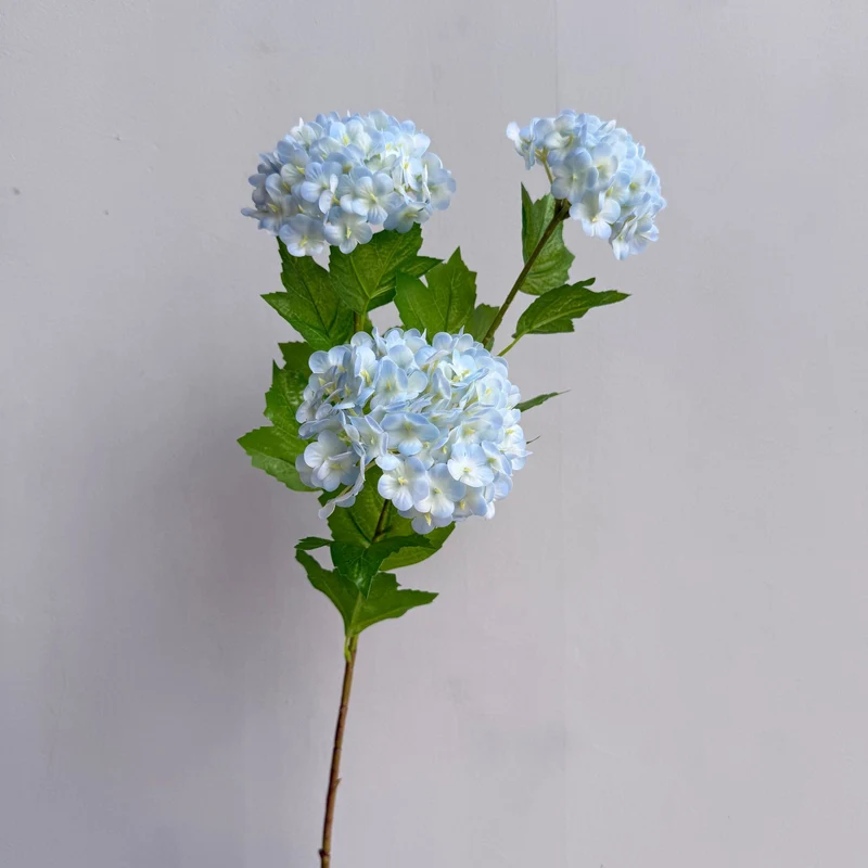 Dekorative Hortensienstängel