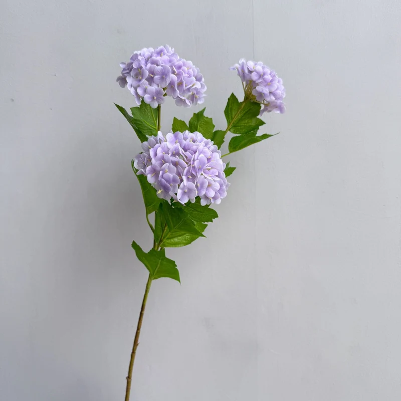 Dekorative Hortensienstängel