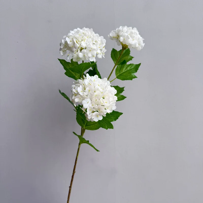Dekorative Hortensienstängel