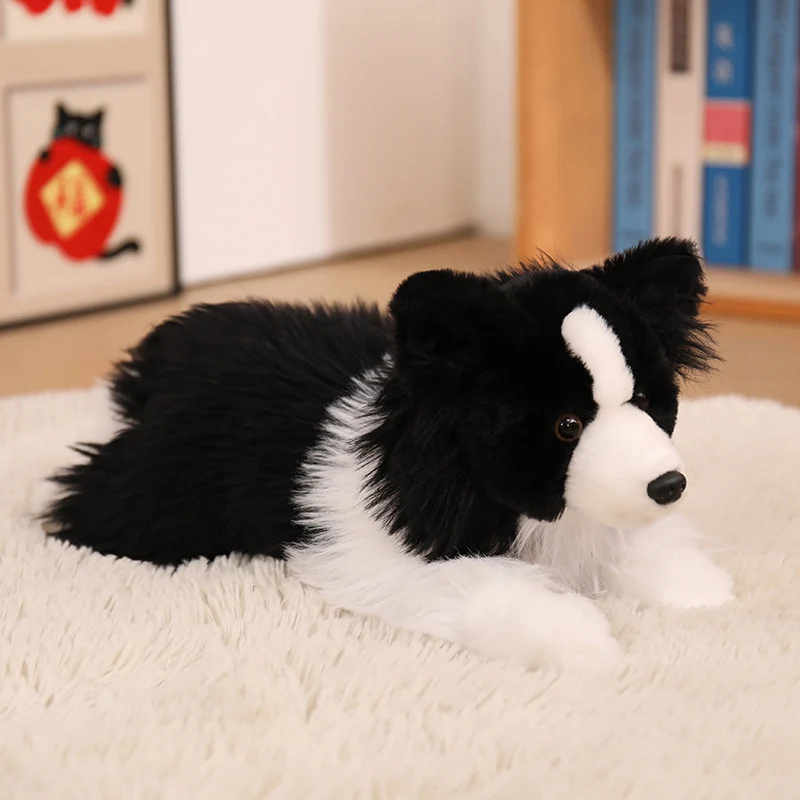 Realistisches Border Collie Weiches Plüschtier mit Flauschigem Langhaar Karnz